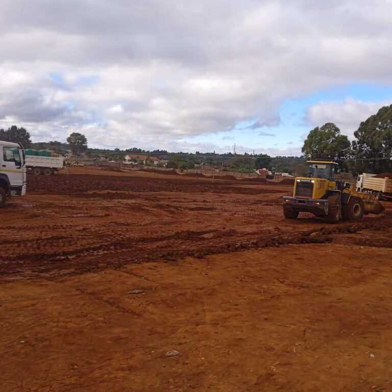 WhatsApp Image 2026 01 30 at 17.39.14 ElShadhai Zimbabwe